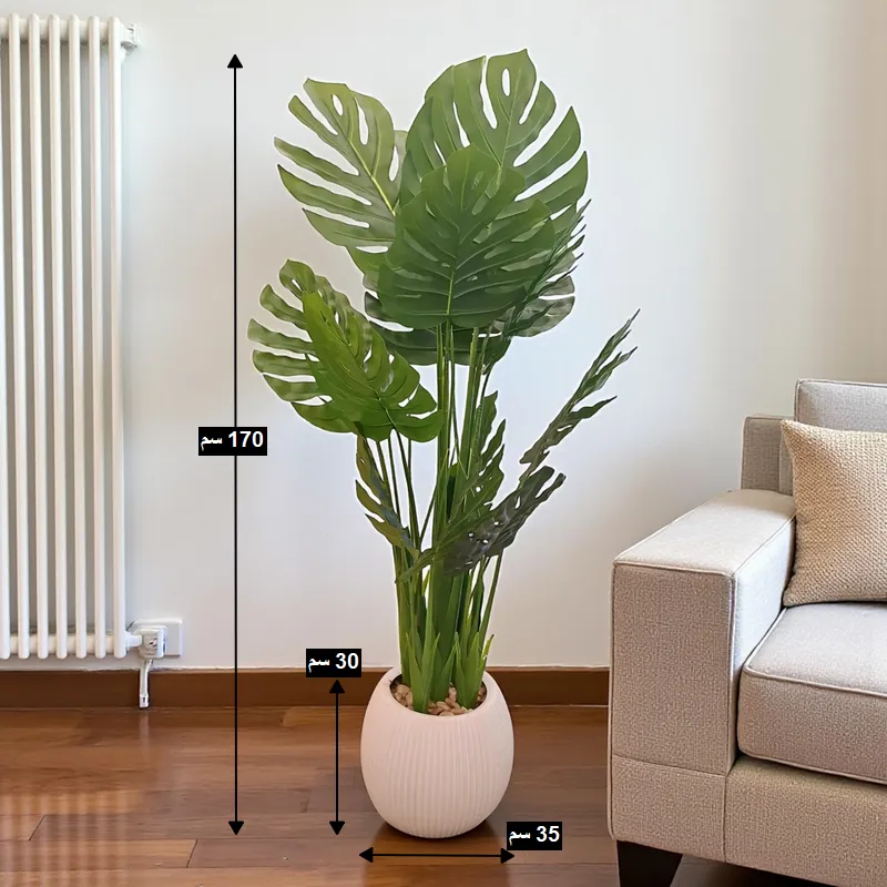 إخوان سرور الإضاءة الحديثة والديكور شجرة مونستيرا صناعية مع توضيح أبعادها: الارتفاع الكلي 170 سم، ارتفاع الوعاء 30 سم، وقطر الوعاء 35 سم.
