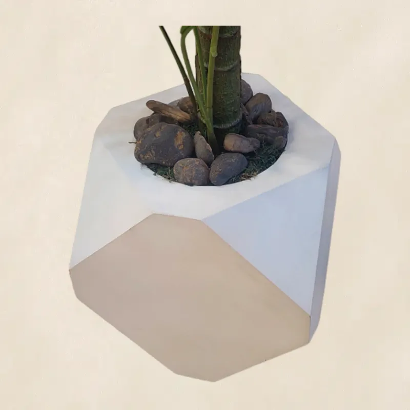 نخلة قصب وسط صورة مقربة